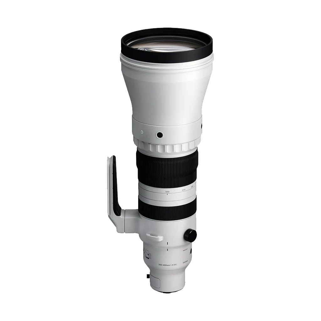 Sigma 300-600mm f/4 DG OS Sports Lens (L-Mount)