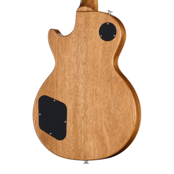 Gibson Les Paul Standard '50s Double Trouble Electric Guitar - Vintage Tobacco Burst detail image 9