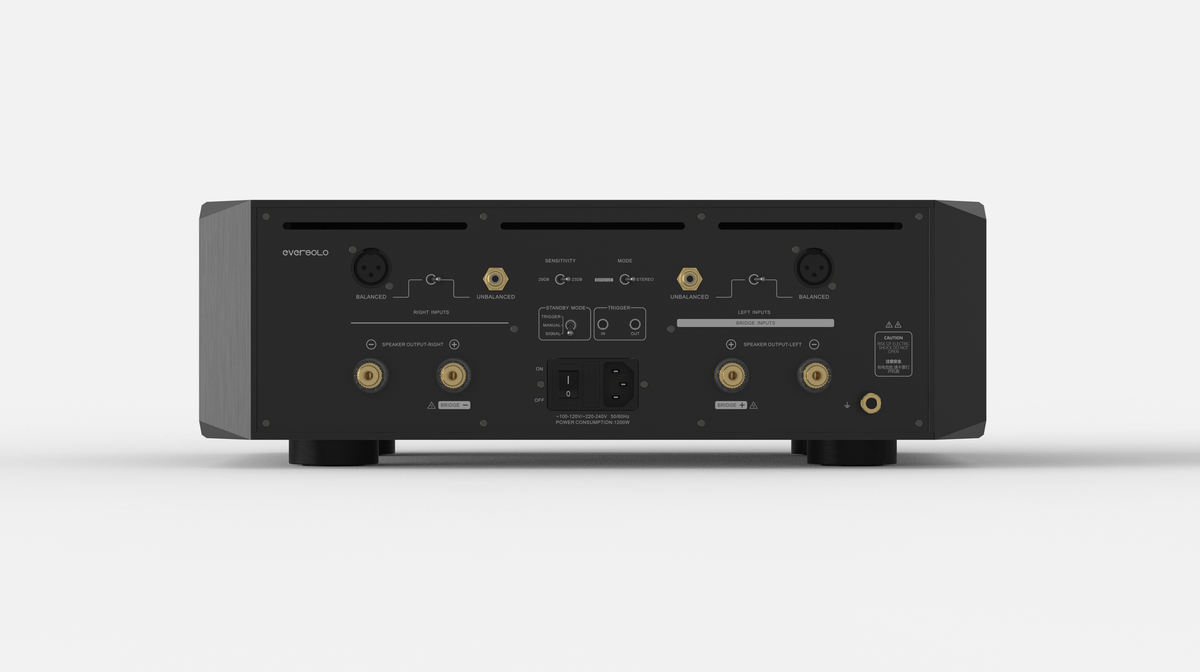 Eversolo AMP-F10 High-Performance Power Amplifier - View 2